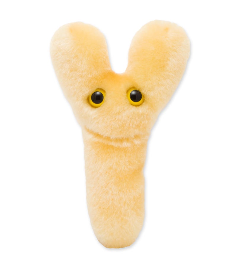 Giant Microbes Bifidobacterium Longum Plush - Image 1